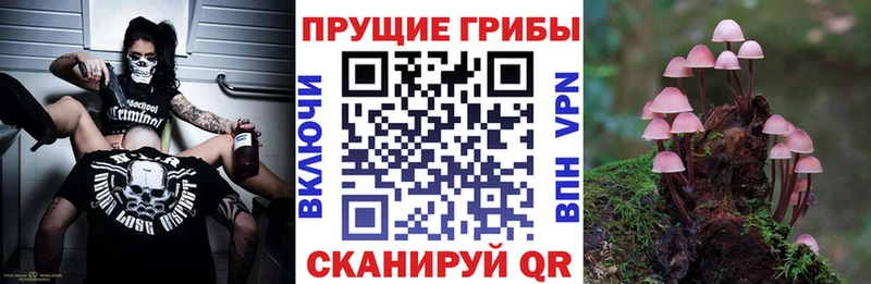 Галлюциногенные грибы Magic Shrooms  OMG вход  Лахденпохья  купить наркоту 
